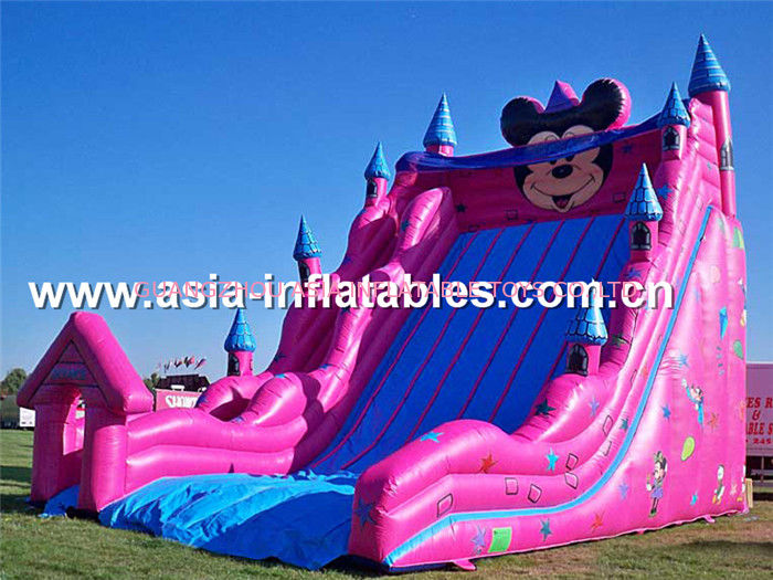 Outdoor Kids Games, Giant Inflatable Mickey Mouse Slide